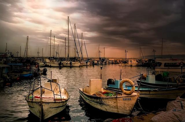 Zbigniew Stanislawski Port...