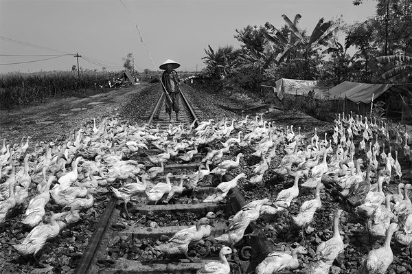 Tomasz Tomaszewski. Tomasz Tomaszewski.