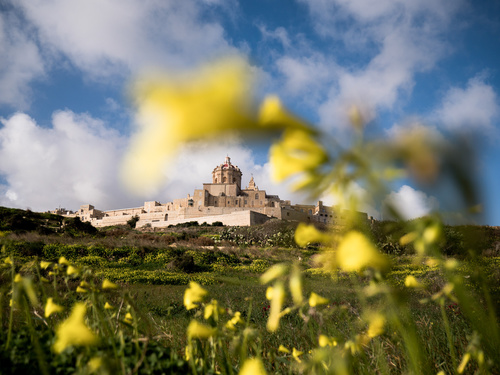 Mikolaj Nowacki - Experiencing Malta Mikolaj Nowacki - Experiencing Malta