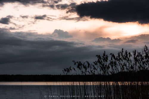 © Paweł Brzozowski | Brzoza.net © Paweł Brzozowski | Brzoza.net