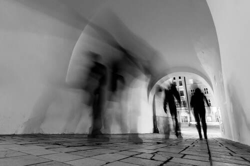 © Paweł Brzozowski | Brzoza.net © Paweł Brzozowski | Brzoza.net