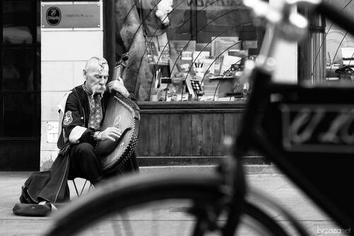 © Paweł Brzozowski | Brzoza.net © Paweł Brzozowski | Brzoza.net