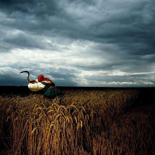 A broken frame © Brian Griffin A broken frame © Brian Griffin