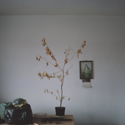 Marlena Jabłońska Marlena Jabłońska