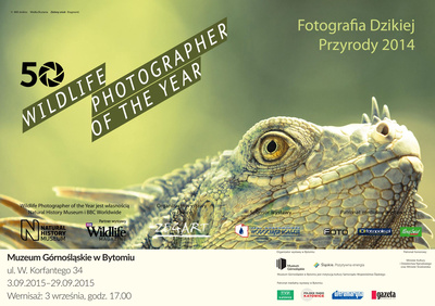 Wildlife Photographer of the Year. Wildlife Photographer of the Year.