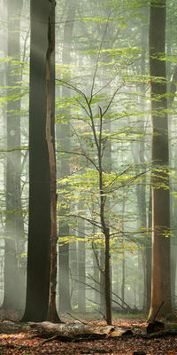 Janusz Wojcieszak - W buku nadzieja… Janusz Wojcieszak - W buku nadzieja…