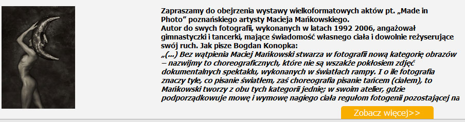 Przykład elementu Kalendarza wydarzeń i wystaw.