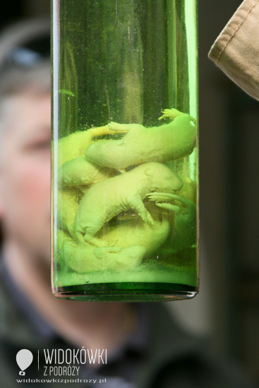 
Booze on mice. Guilin. China.