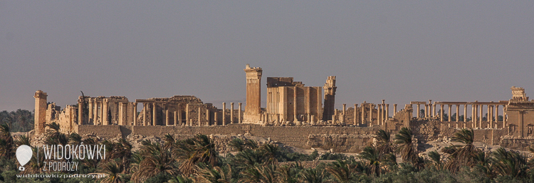 The view from the hotel to Palmyra.