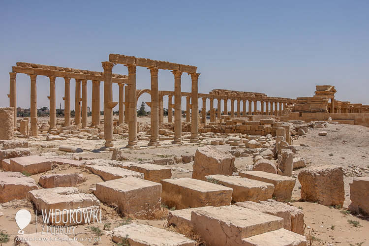 Wielka Kolumnada. Palmyra 2008.