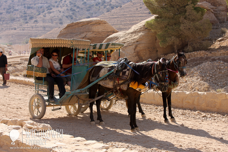 Transport to Petra