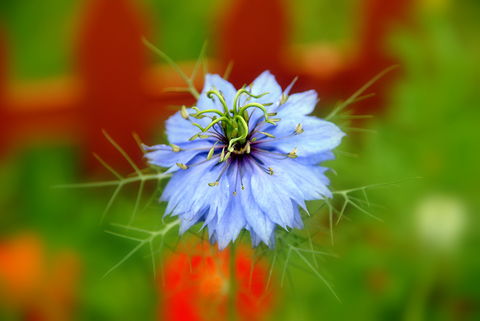 0523980f678a684522c2d3b11f71d964