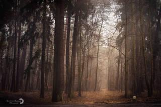 0a46f2a0c5995f61d146ce18f26a1543