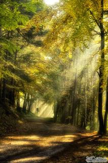 0a743f0ec8d83a86e2c4ff9604b3c373