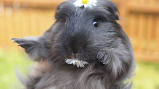 0bccad3d480454658611627d2e7692c9