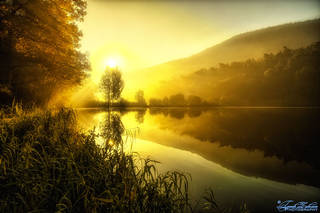 2117f76f0e77b66c75326c8b2faa3f11