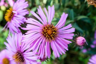 236c19db911aa6bf58bbfc12c001dfd4