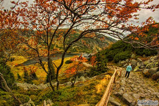 2c1373540d90643db37f0df9545d49a1