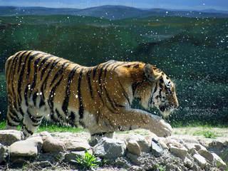 368e7f713736d68b36be43b0c35f2e05