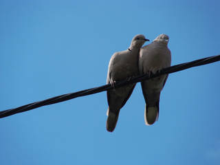 3d158ee5cf98f30ecab770b4bf2066a0