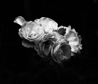 417268bc223edb66d098f65e0c4e0c8c