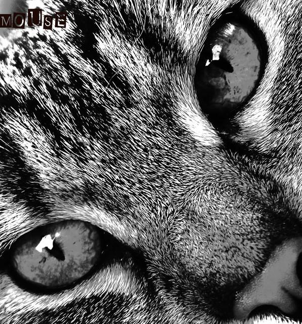 4298f931b79b21ba0c10dde0ac0f6c8d