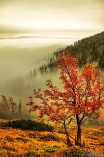 4b5ac769c46c75dac552c0333c1ae7c3