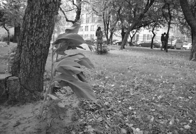 5211e4d6fb5056900c3f7c4b898094df