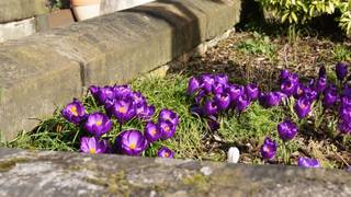 531f567d45c4f49c7c3561394a33edca