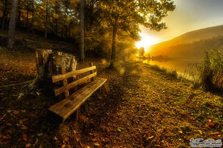 5f4673010e965d6e993f2cab130355da