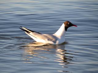 69cfb73f8e4abaf46c0d39d90e8ed23d