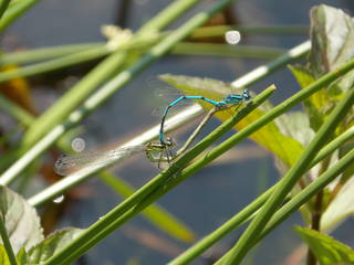 6d2a4e6623807aa4f3e17173fb39e369