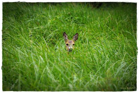 7bebdb0ddd9ce1b9720f48ab809e1c42