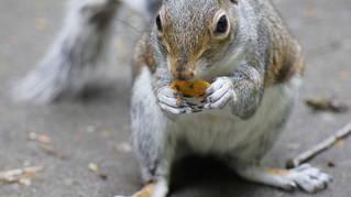 85c2e58863b8bb281f4608892faac2b2