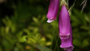 8f466fd7b527be7796b6694f922f543b