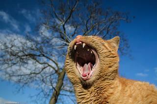 917b76f2033e616fb6d4c4b687774775