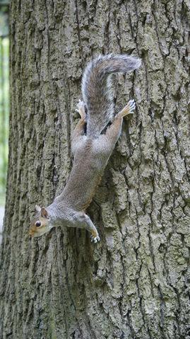 a005f8612dfd6847688c9614314000c6