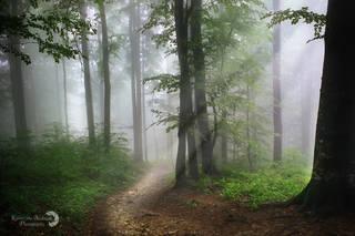 a7e1abff82f0409f5e31bdd0ea421966