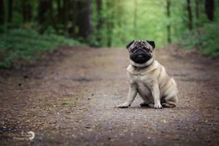 b25591c4d135bb762d6b1913c35dacb4