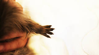 b4d3cfc761114916bbde4b6198aed12f