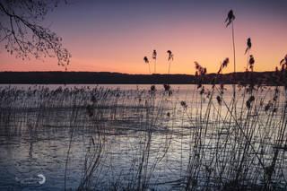 b5b55e7d9282b9d5878297c39460929a