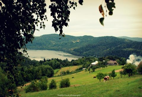 b6ada3918a44bfc10fb3edb2a25e4a75