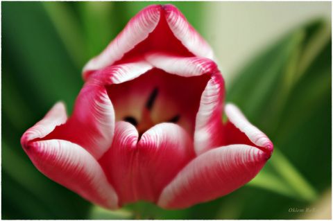 b6bc37bd109b90db895b2200a07828f4