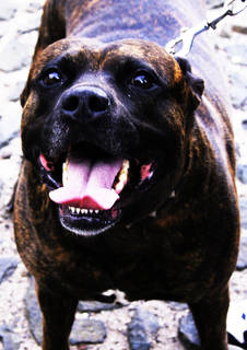 b876e4f7796a14d58d22e8d86ab74d59