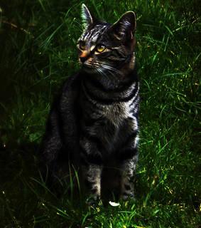 c8a5899b8f81c838dbd1056b974f6ac8