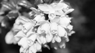 cf08d265573ace7e4fd2de8371102baa