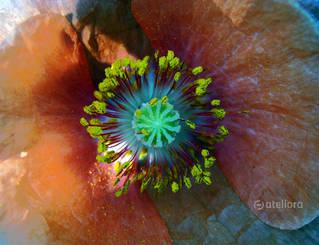 d9abd1289e0e07f2ad792ea1d3a78293