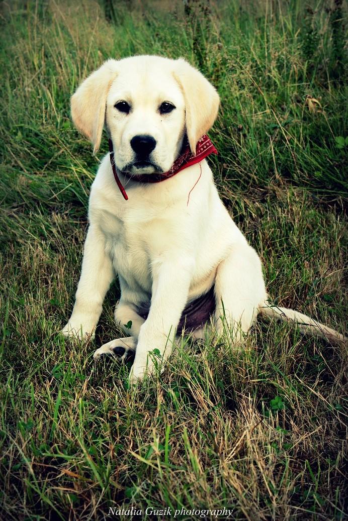 dbab2fde3488c39900b0e226d433bc16