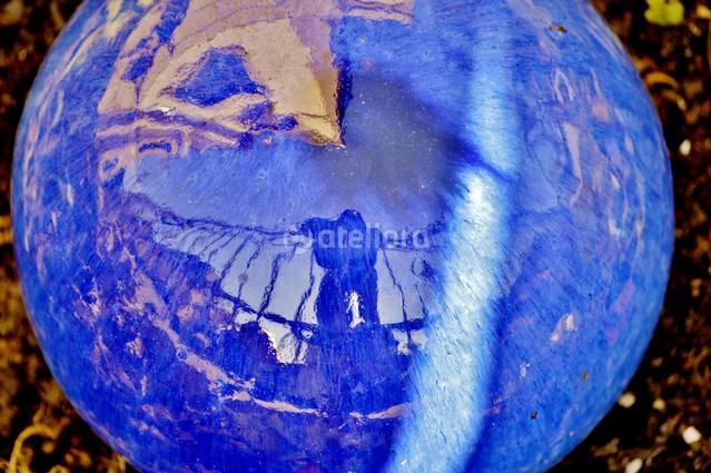 e54be200631a8b38cfd7f68089d12486