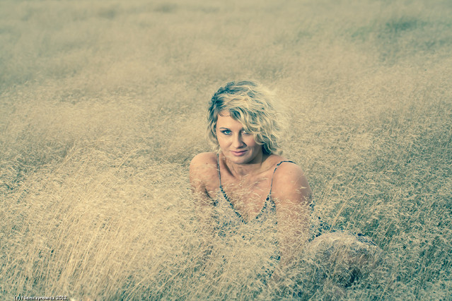 e87883195fee2eb6cb18a270e6face10